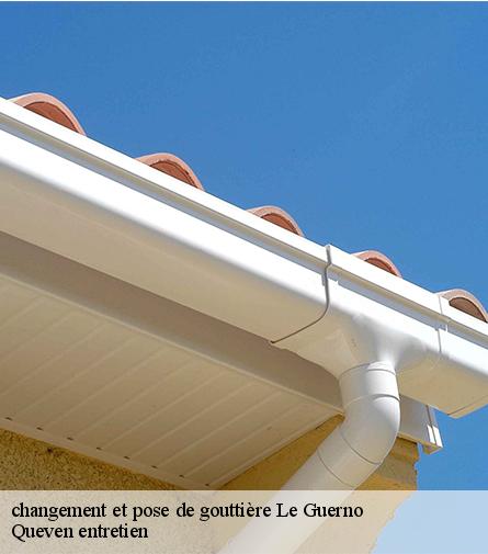 changement et pose de gouttière-1