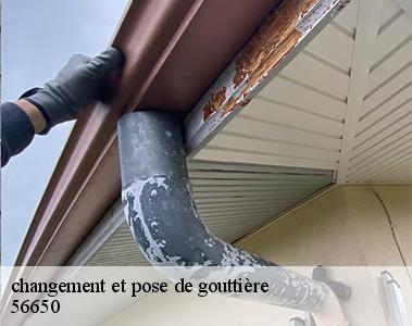 changement et pose de gouttière-2