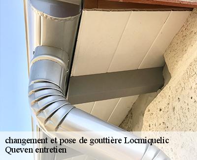 changement et pose de gouttière-4