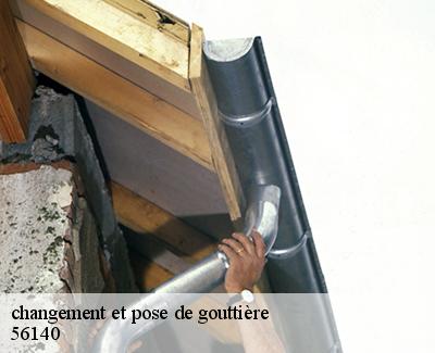 changement et pose de gouttière-5