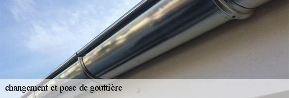 changement et pose de gouttière-6