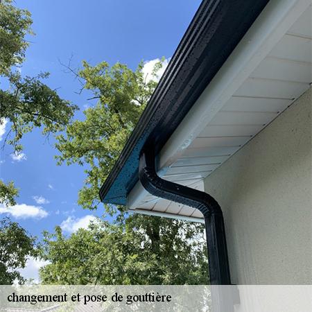 changement et pose de gouttière-3