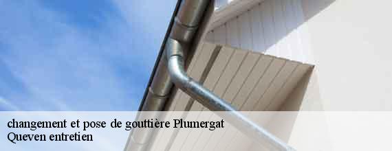 changement et pose de gouttière  plumergat-56400 Queven entretien