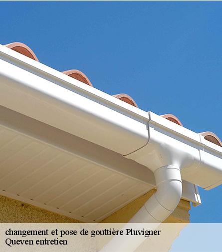 changement et pose de gouttière-1