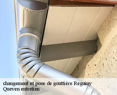 changement et pose de gouttière-4