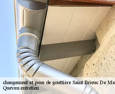 changement et pose de gouttière-4