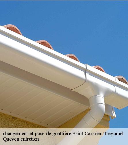 changement et pose de gouttière-1