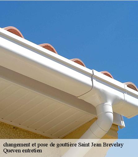 changement et pose de gouttière-1