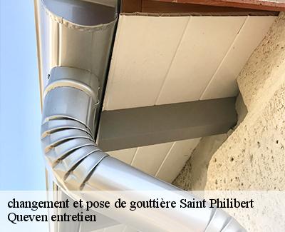 changement et pose de gouttière-4