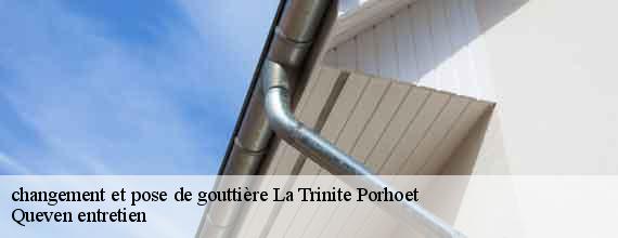 changement et pose de gouttière  la-trinite-porhoet-56710 Queven entretien