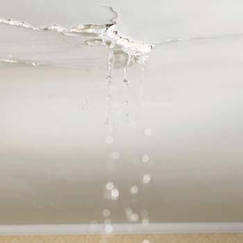 Urgence fuite de toiture 56
